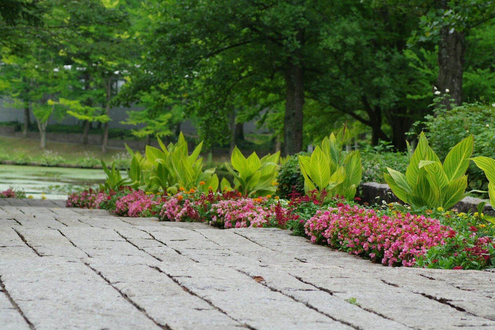 Driveway with decorative block and paver stone border edging